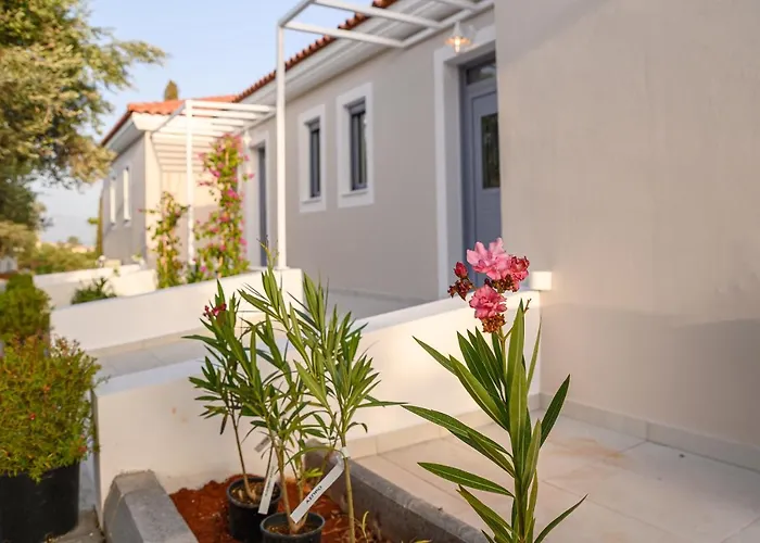 Apartamento Dionisos *