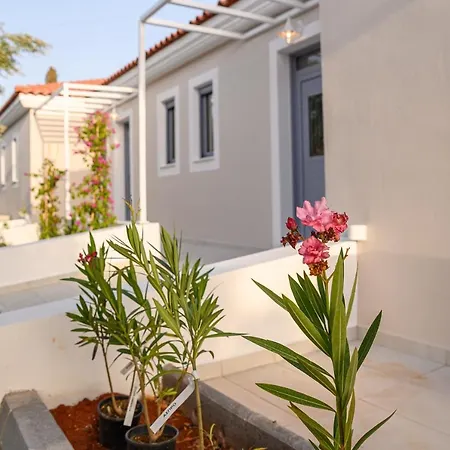 Appartement Dionisos *